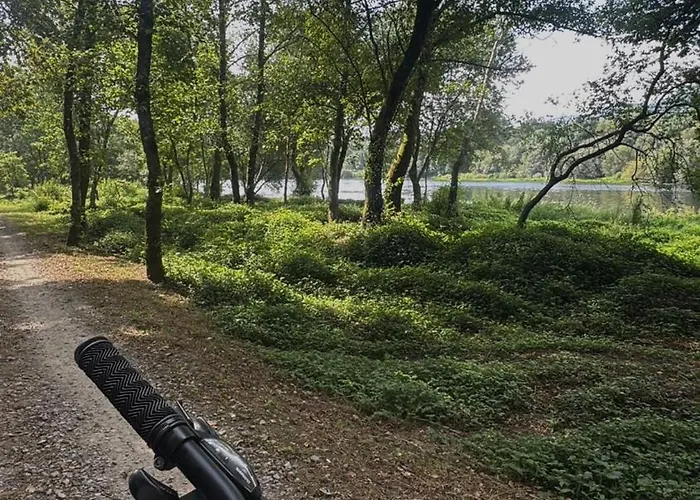 Madalena * Vitorino das Donas